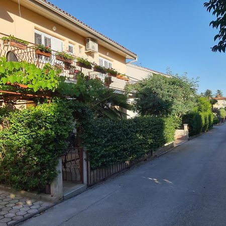 Studio Rocco Novigrad Istria Εξωτερικό φωτογραφία
