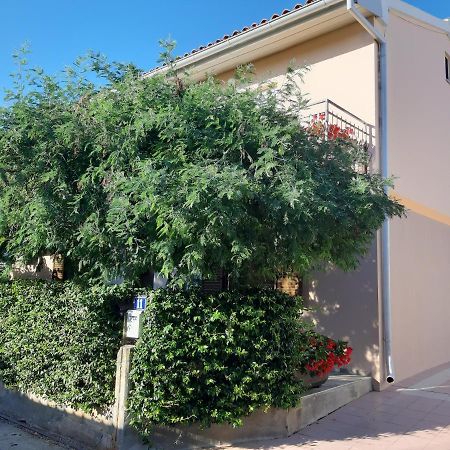 Studio Rocco Novigrad Istria Εξωτερικό φωτογραφία