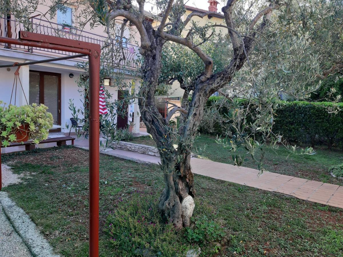 Studio Rocco Novigrad Istria Εξωτερικό φωτογραφία