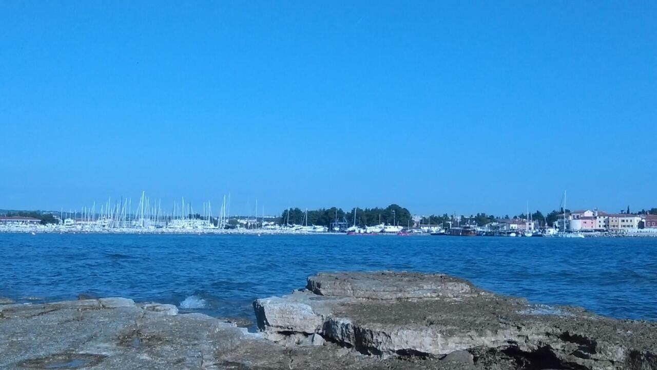 Studio Rocco Novigrad Istria Εξωτερικό φωτογραφία